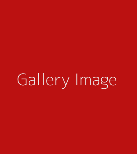 Gallery Image galleryimage.png